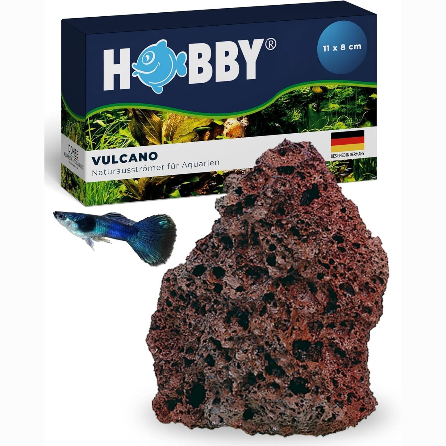 186641 - HOBBY VULCANO Gur Natyral i Ajrit, 11 x 8 cm, Gur Lave Unik Aksesor dekorativ dhe Difuzues Ajri për Akuarium, Furnizon Oksigjen për Akuariume dhe Terrariume