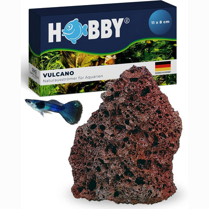 186641 - HOBBY VULCANO Gur Natyral i Ajrit, 11 x 8 cm, Gur Lave Unik Aksesor dekorativ dhe Difuzues Ajri për Akuarium, Furnizon Oksigjen për Akuariume dhe Terrariume