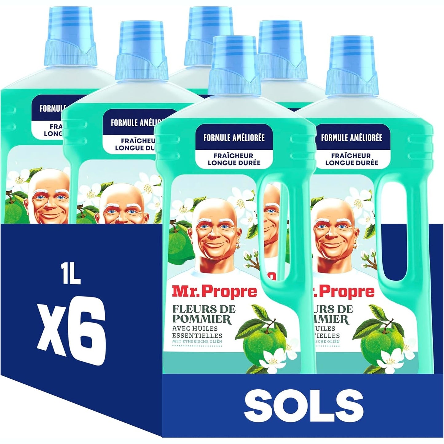 275508 - MR. CLEAN Pastrues dyshemeje shumëfunksional - Madhësi e madhe (1L x 6), me aromë lulesh molle, largon deri në 99.9% të yndyrës dhe papastërtisë