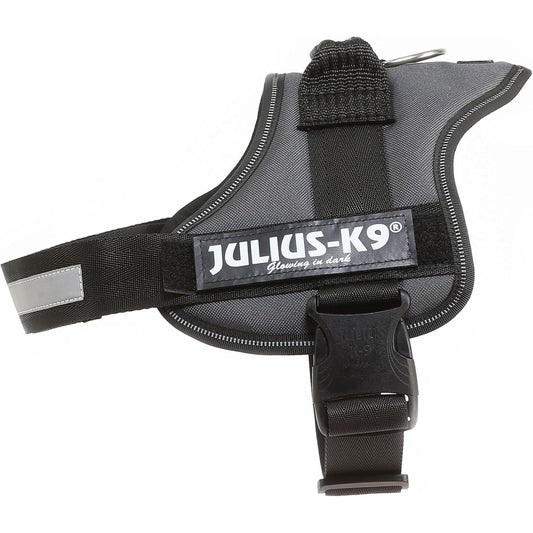 177418 - JULIUS-K9 Rrip për qen, Ngjyra Antracit, Madhësia L/1