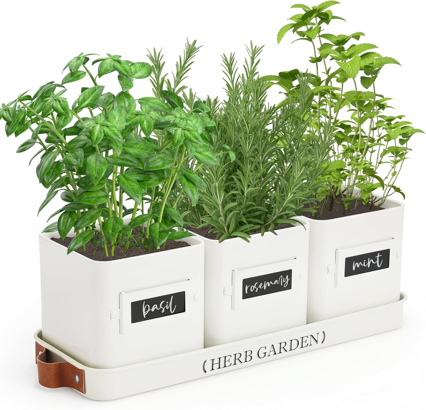 223224 - PERFNIQUE Kopsht me Barëra të Brendshme, Set Vazosh me Tabaka, për Përdorim të Brendshëm