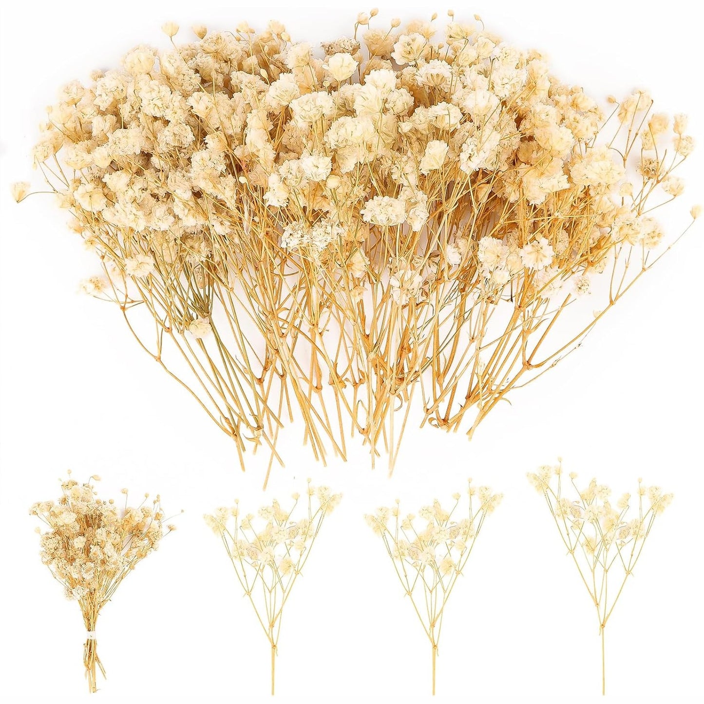 288479 - 100 copë lule të thata Baby's Breath për punime artizanale, lule natyrale të thata gipsofila për dekor shtëpie dhe festa