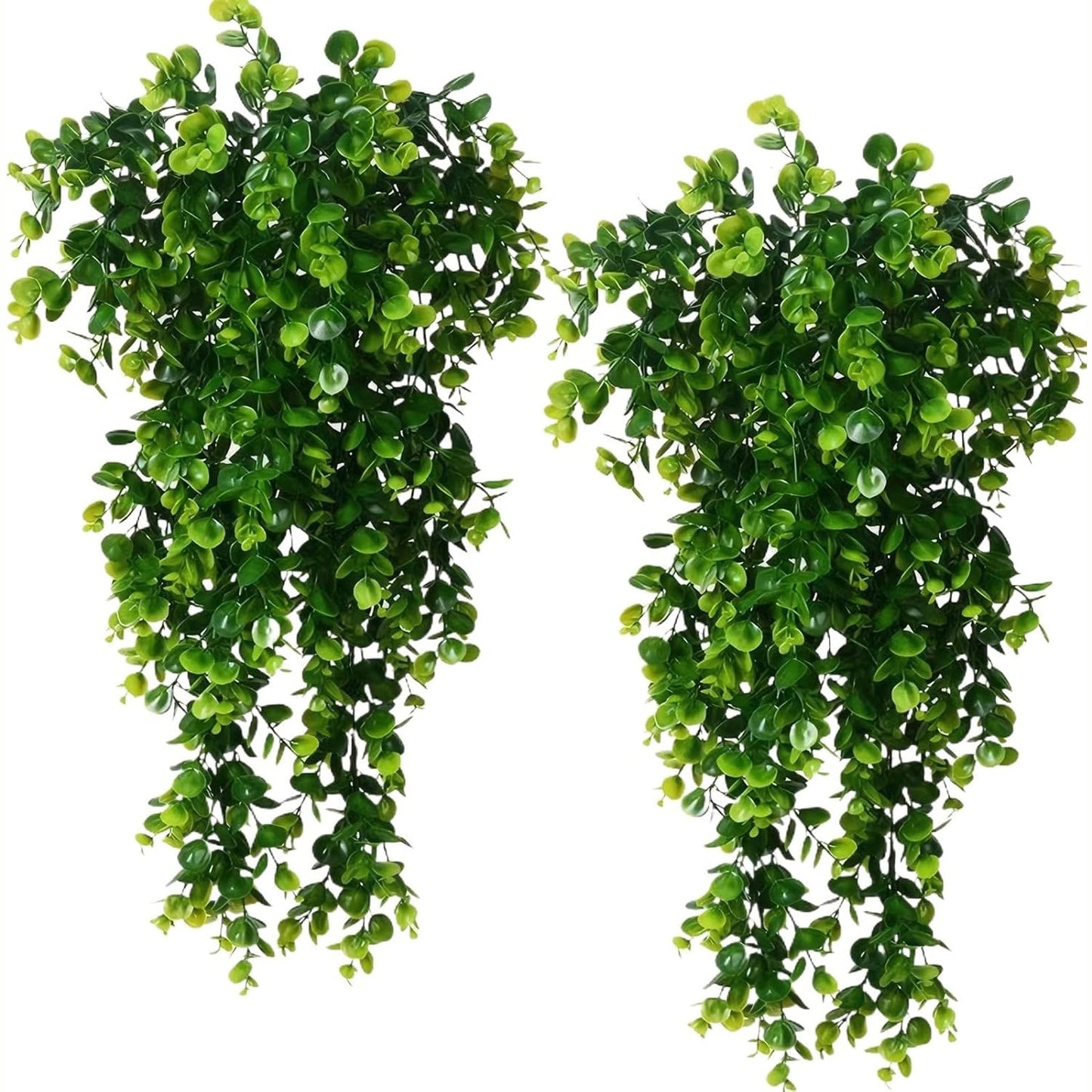 224746 - BEJAGWUS 2 copë bimë artificiale të varura, me dredhkë artificiale dhe eukalipt, dekorim estetik, jeshile