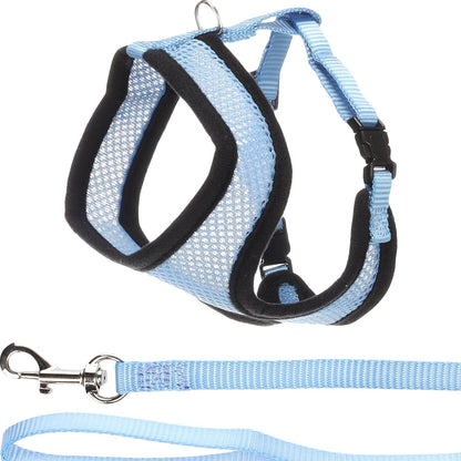 254021 - FLAMINGO Rrip për kotele me zinxhir – Blu – Madhësia A: 28 cm, B: 32–41 cm, C: 110 cm x 10 mm x 2 mm