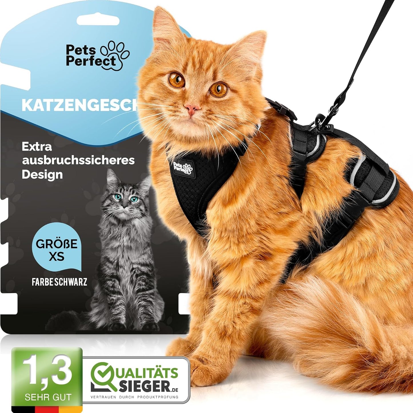 222757 - PETS PERFECT Set Rripash për Mace me Zinxhir, Madhësia XS, e Zezë