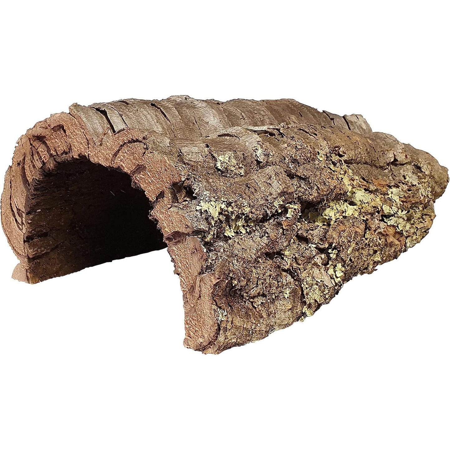 252403 - DEHNER Dekorim terrariumi Terra, tub tape, madhësia M, afërsisht Ø 20-25 cm, gjerësi 25-35 cm, tapë natyrale, kafe/bezhë