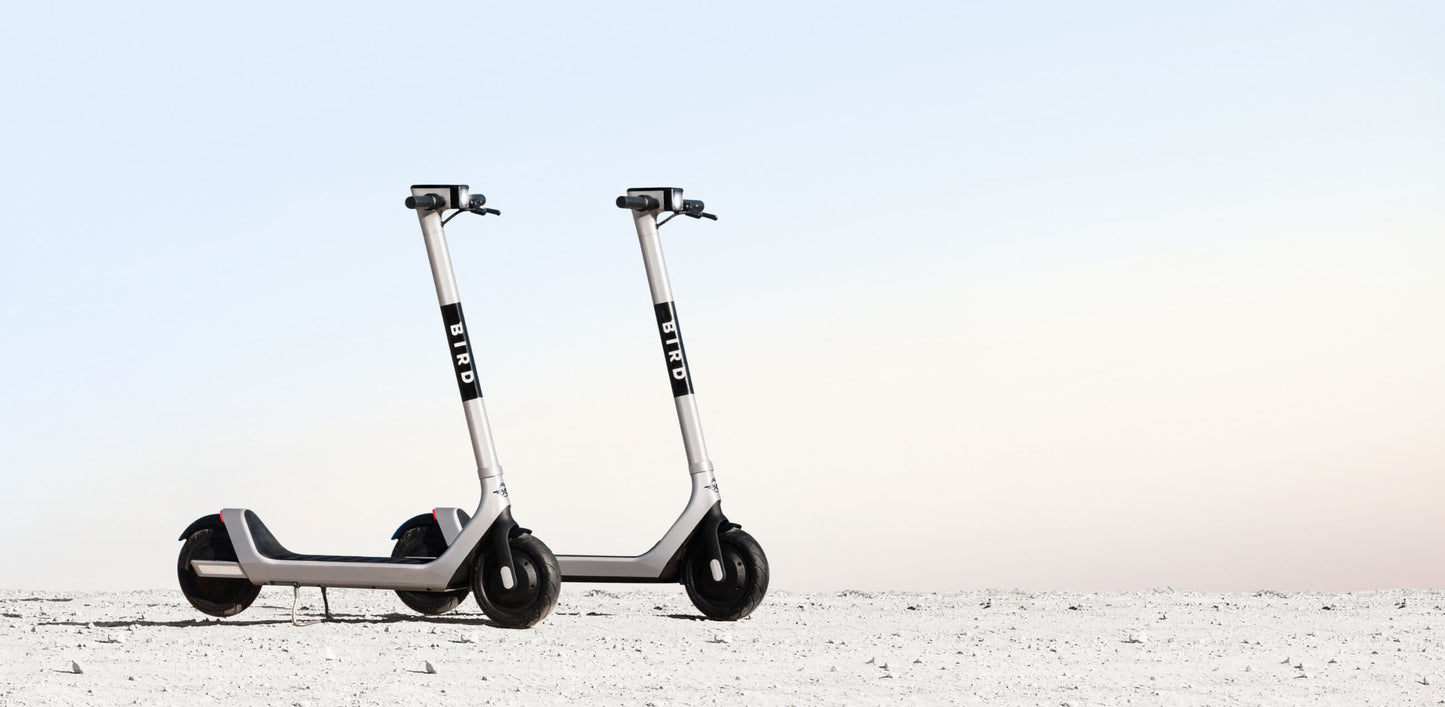 13954 - Bird Two Skuter Elektrik 500W