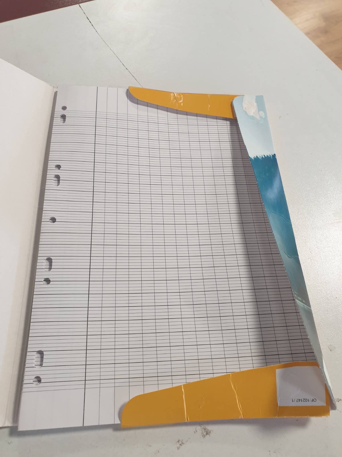 274692 - KUTIA E KOPJIMIT ME DY ANË E PERFORUAR CLAIREFONTAINE 4729C PËR PERSONAT ME SHIKIM TË KUFIZUAR - A4 21X29.7 CM - 96 FAQE, RRJETË E ZEZË E MADHE 2.5 MM, E ZMADHUAR 10/10 - 90 G LETËR E BARDHË - KUTI E RIPËRDORSHME