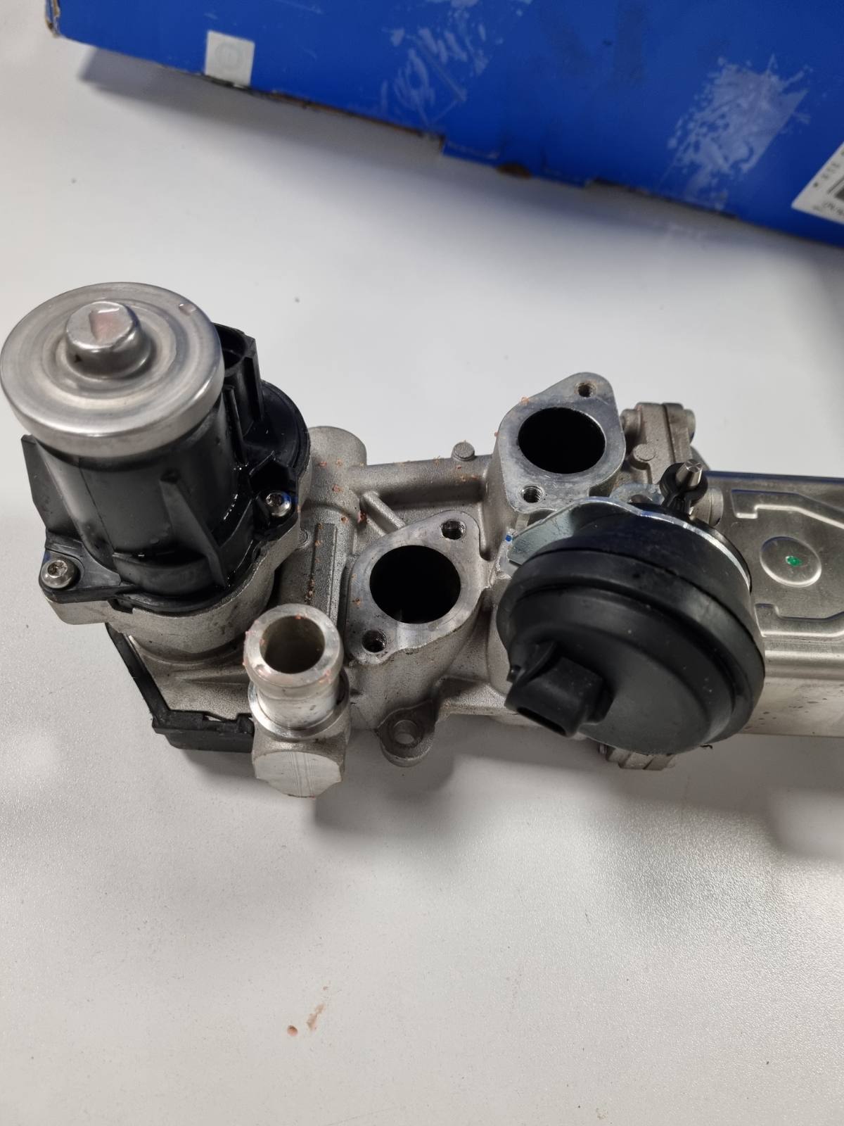 312481 - DELPHI Valvula EGR EG10472-12B1 me Ftohës EGR e Përputhshme me VW Golf 6, Polo V, Tiguan I, AUDI A3 Sportback