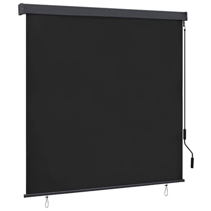 244656 - vidaXL Perde Rul për Ambient të Jashtëm 160 × 250 cm, Antracit