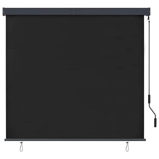 244438 - vidaXL Tendë Vertikale e Tërheqshme 160x250 cm – Anthracite