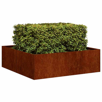 265544 - VIDAXL Vazo e ndryshkur 100x100x30 cm Çelik i Rezistent ndaj Motit