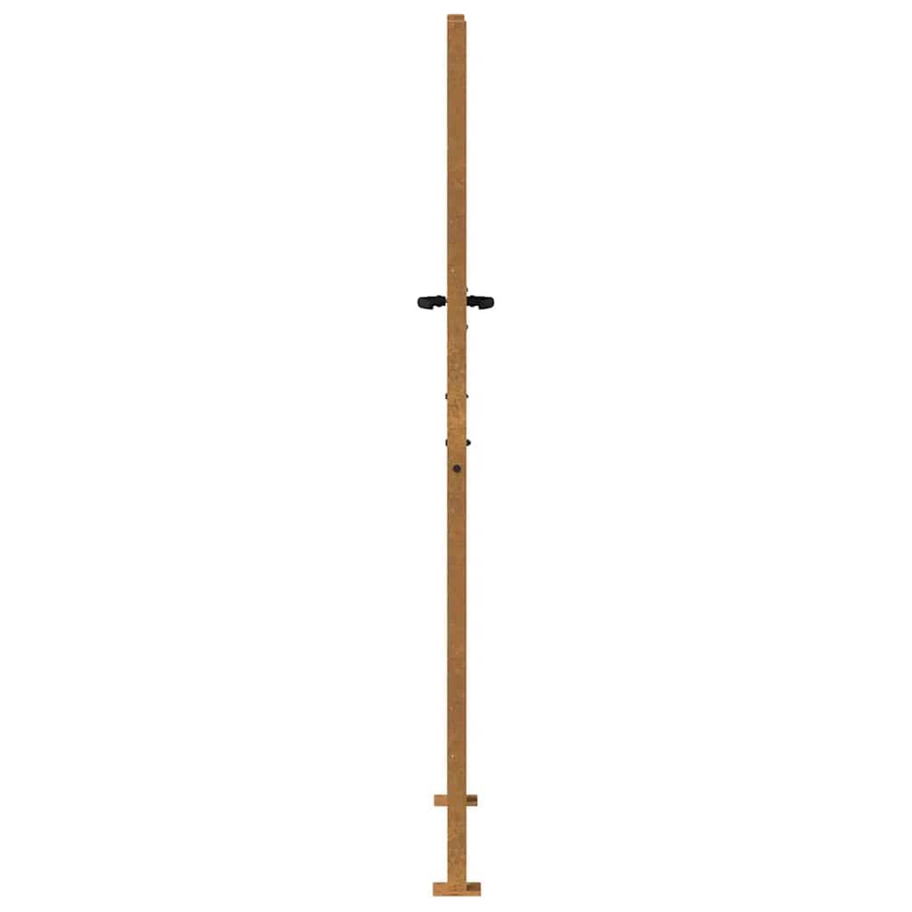 265040 - VIDA XL Portë Kopshti 100x175 cm Çelik Corten