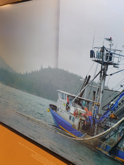 267544 - TV TCL 40SF540 40 inç, Full HD, HDR dhe HLG, Fire TV, Dolby Audio DTS Virtual: X, Dizajn pa kornizë, Kontroll zëri, Bluetooth 5.00