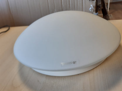 235494 - STEINEL Dritë tavani 738013 RS 16 S me sensor lëvizjeje, llambë kursimi energjie, LED E27 60 W e bardhë