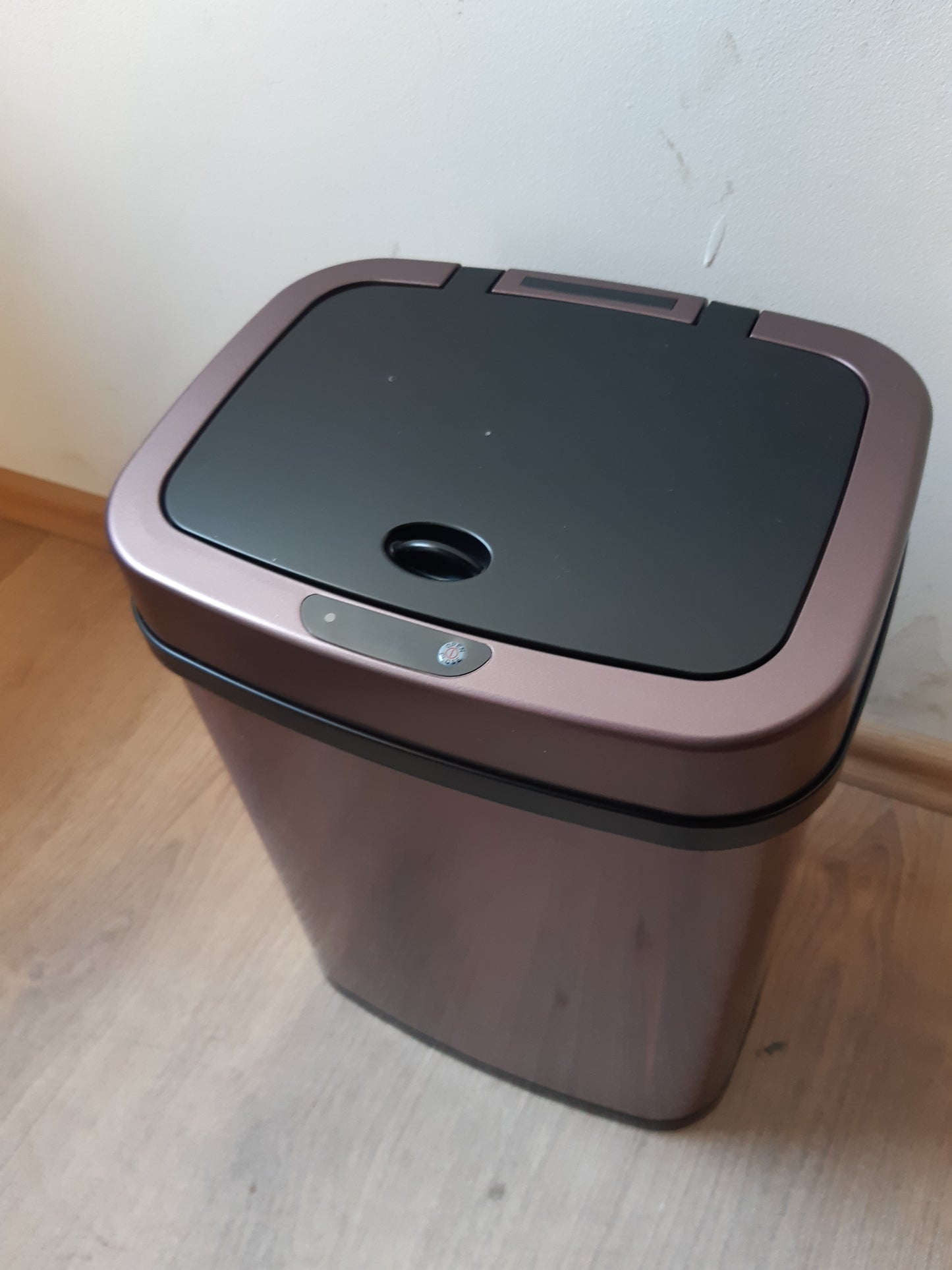 255382 - AMAZON BASICS - Kosh plehrash automatik prej çeliku inox, drejtkëndor, 12 litra, ngjyrë burgundy