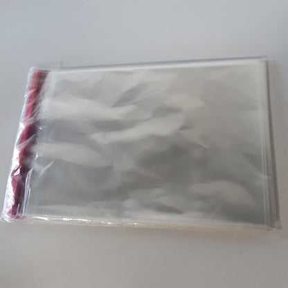 248736 - Qese të sheshta Netuno 100 PP transparente të mëdha 17.2 x 24 cm, qese vetëngjitëse të vogla, qese prej folie Peel & Seal, qese celofani të bëra nga plastikë transparente