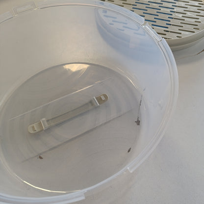 162792 - BRANQ HOME Enë Rrumbullakët për Tortë me Kapak të Lartë dhe Dorezë Praktike, Material Plastikë pa BPA (PP), Ngjyra Krem/Transparente, Dimensione 334 x 156 mm