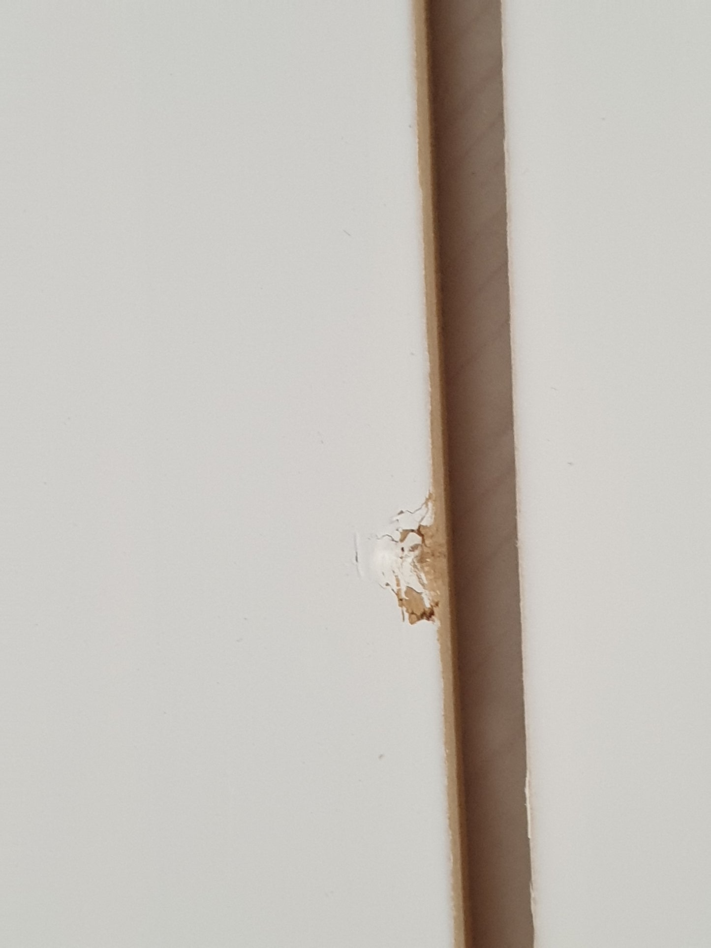 181949 - VIDAXL Dollap Muri në Ngjyrë të Bardhë, 80x30x35 cm, Prej Druri të Pisë të Fortë