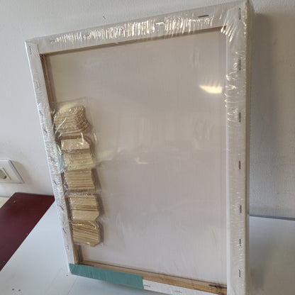223210 - EXERZ Kanavacë të para-shtruara, 30x40 cm, 5 copë, 1.7 cm kornizë, 280GSM, 100% pambuk, pa acid