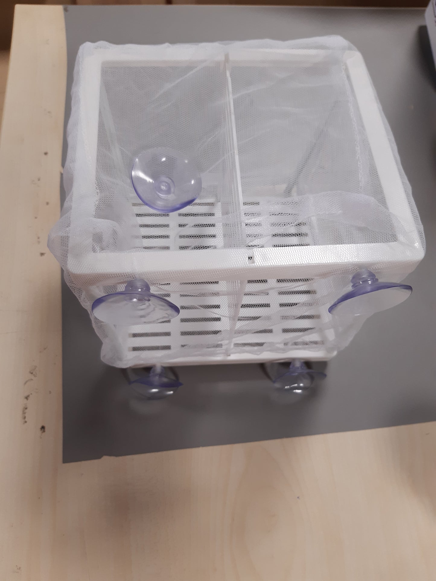 220565 - HOBBY Aquaristik Nido 3.1 16 x 16 x 14 cm, enë rrjete për mbarështimin e peshqve shtatzënë dhe rritjen e të vegjëlve
