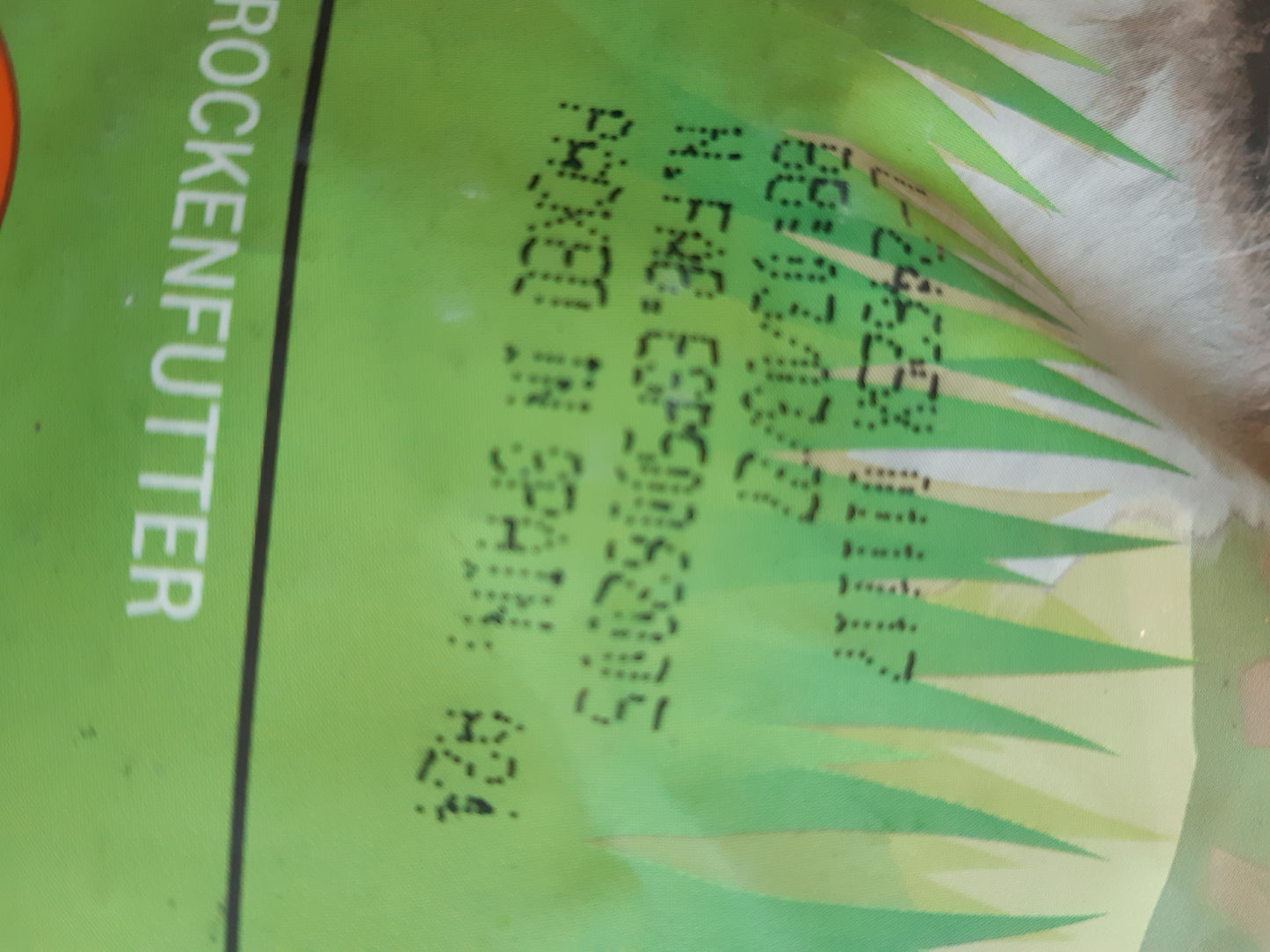 215700 - AMAZON Ushqim i thatë për mace Grainfree Recipe (Senior) me pulë të freskët - 3 kg