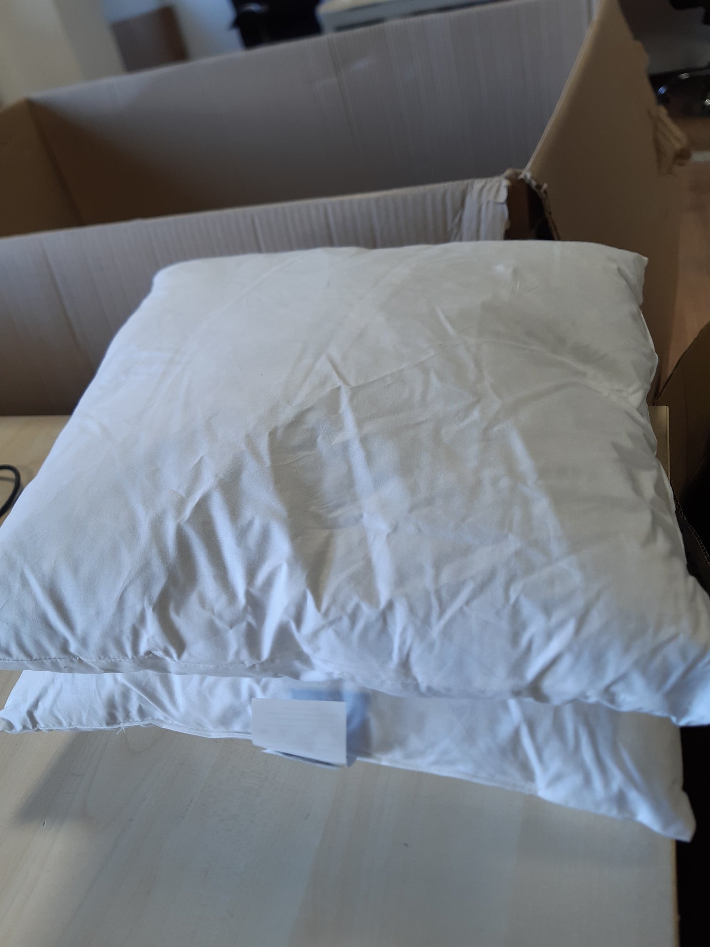 241698 - WOMETO Set jastëkësh puplash me 2 pjesë, 100% pupla, 40x40 cm, 300g, Oeko-TEX, mbulesë pambuku, e bardhë
