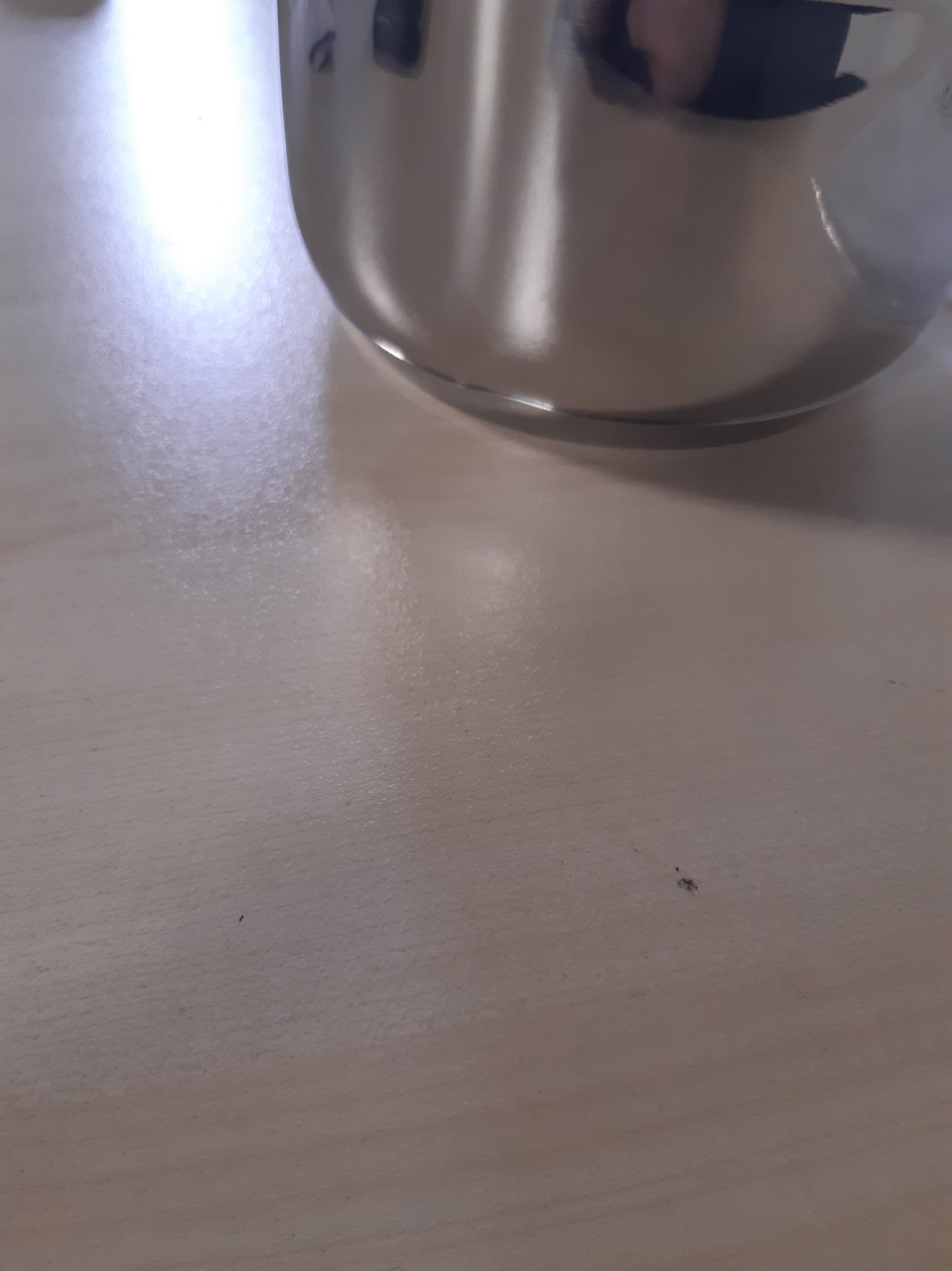 136029 - BARAZZONI Tigan Chef Line me Dorezë të Gjatë, ø 14 cm, Kapacitet 1.1 Litra, Çelik Inoks 18/10, Induksion+Gaz, Fund i Trefishtë, Pa PFAS, Argjend, Prodhuar në Itali